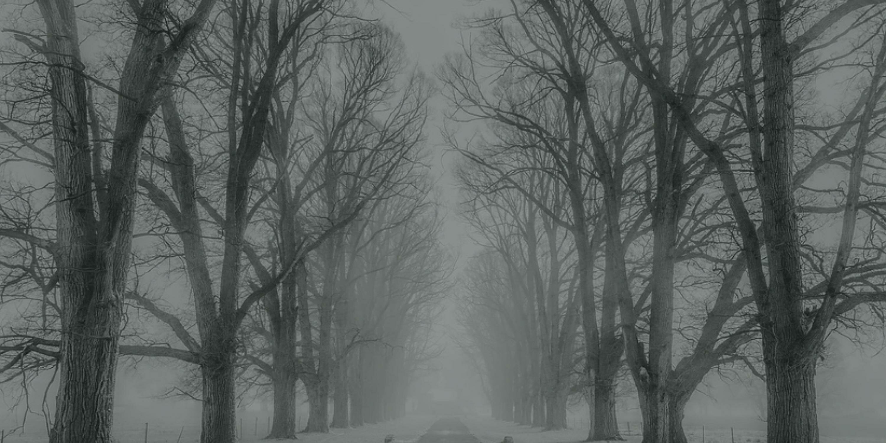 Grief cover photo