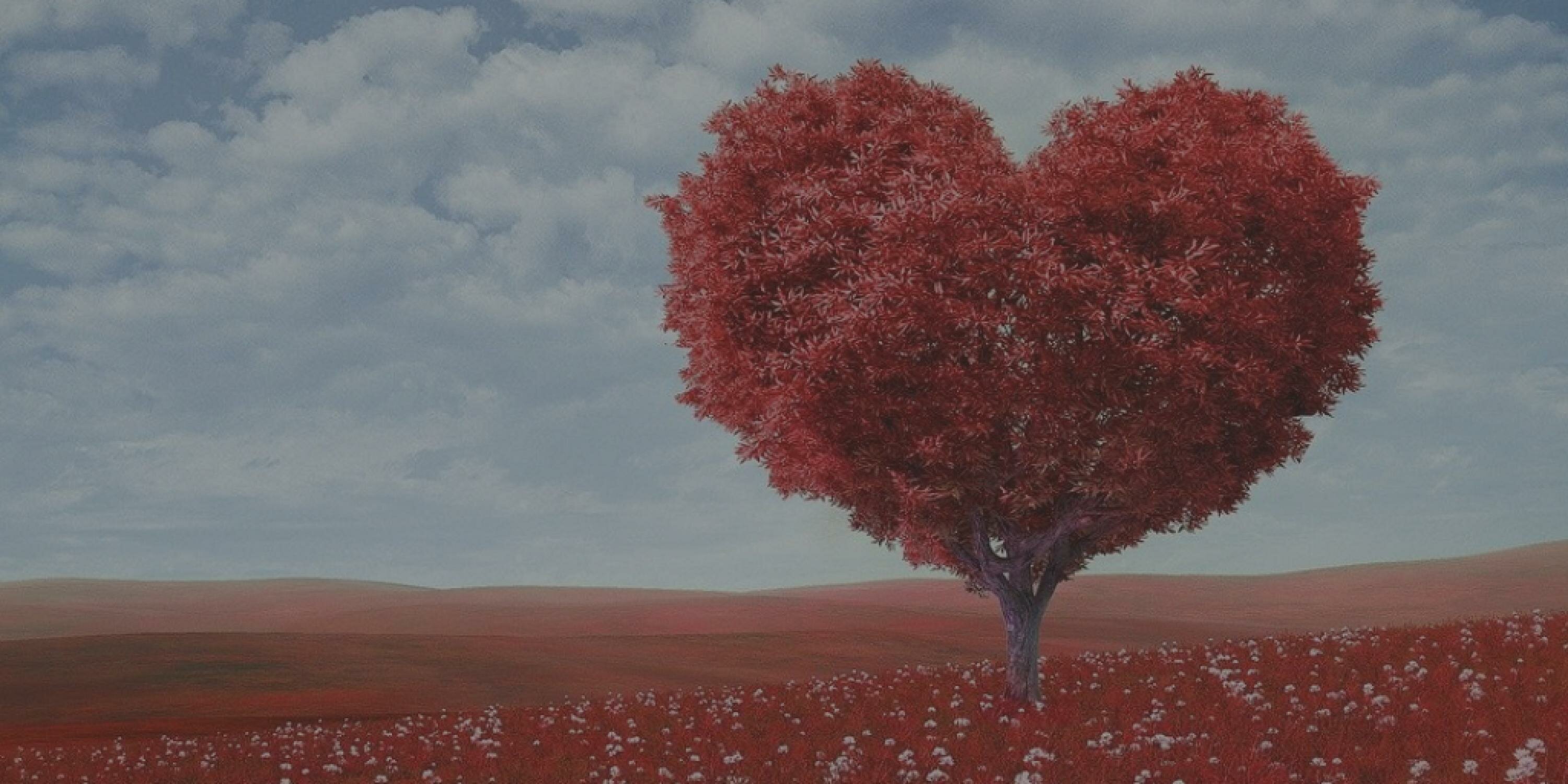 Trauma cover photo