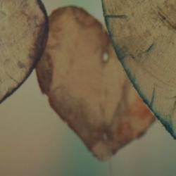 Relationships avatar